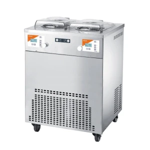 Gastronomiczny Freezer do lodów rzemieślniczych, Vision 4