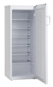 Szafa chłodnicza | KK262E | 231 l