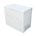 zamrażarka-PXBD-205a.webp
