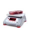 730151 ohaus.jpg